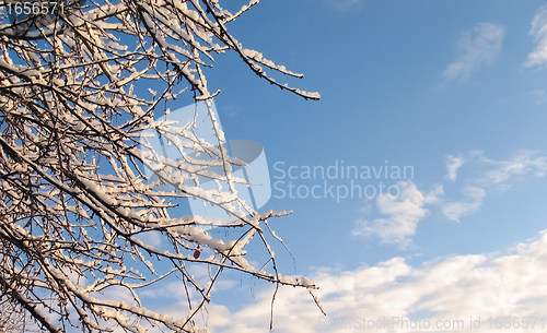 Image of Snow covered