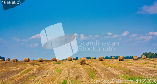 Image of round bale of straw in the field