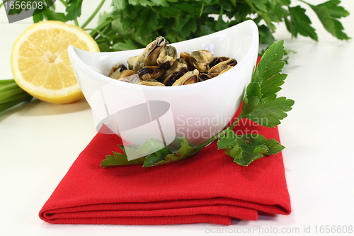 Image of marinated mussels with flat leaf parsley