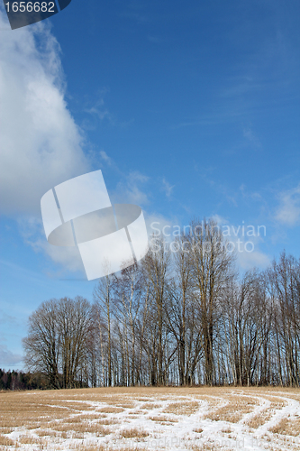 Image of Snow melting on spring fields