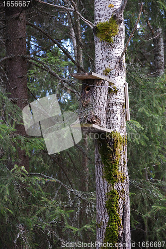 Image of Wooden birdhouse.