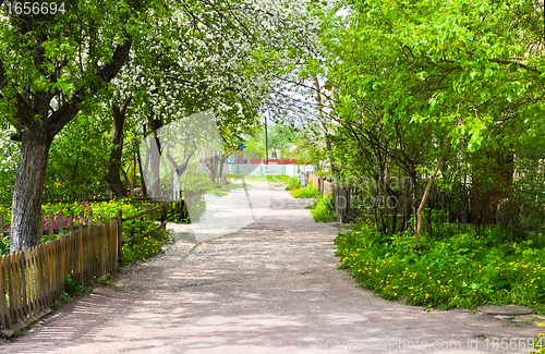 Image of Country summer