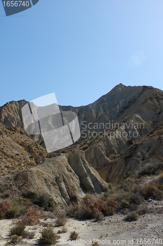 Image of Tabernas desert