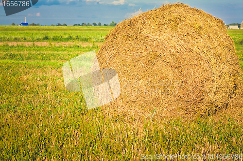 Image of harvested field with straw bales in summer