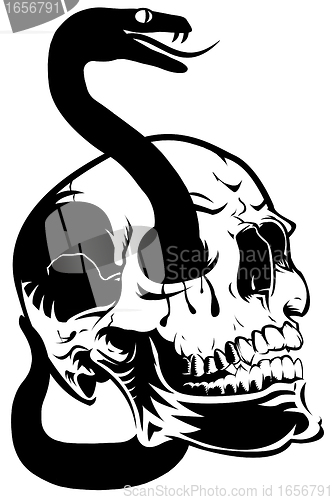 Image of Skull with Snake Clip Art