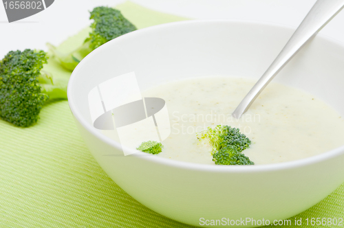 Image of Cream of Broccoli Soup