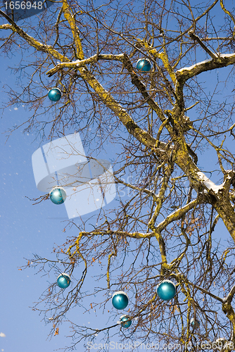 Image of snow on blue christmas toys decoration hang branch 