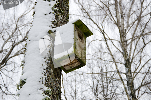 Image of bird nesting box snowy attached birch tree winter 