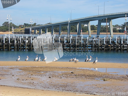 Image of Bridge