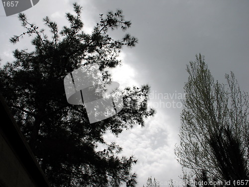 Image of Hiding the sun. Cyprus