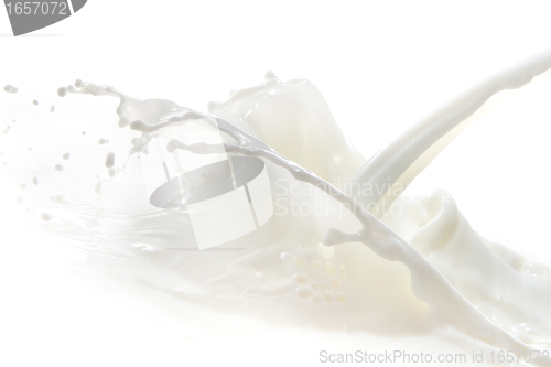 Image of milk splash