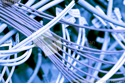 Image of cables connected to servers 