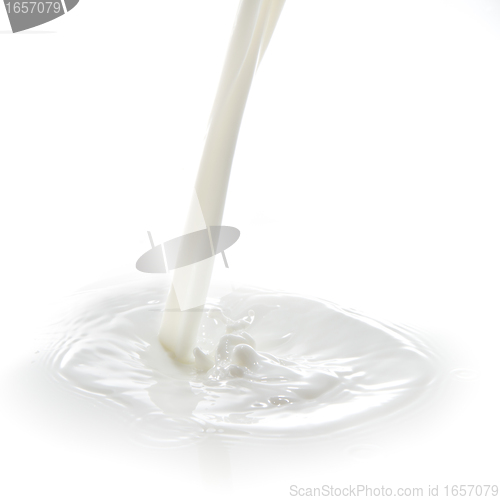 Image of milk splash