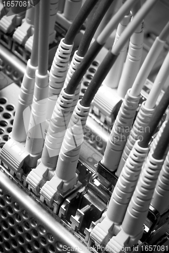 Image of network cables