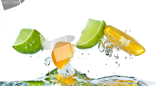 Image of citrus fruit splashing