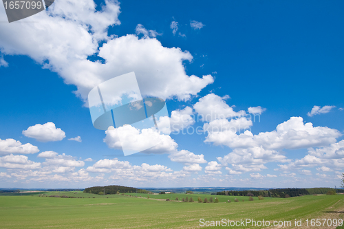 Image of green field