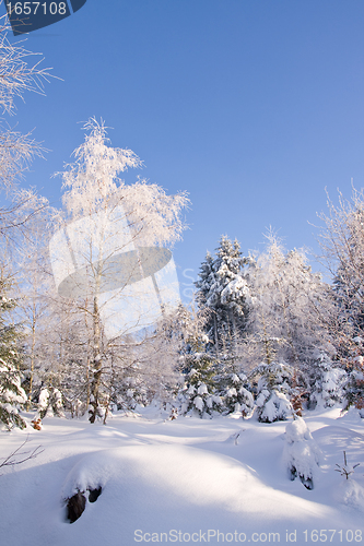 Image of fresh snow in the mountains