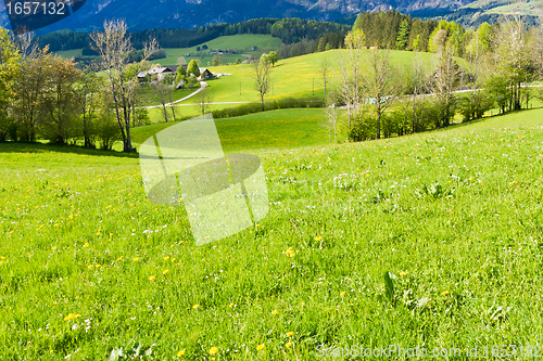 Image of alpine landscape