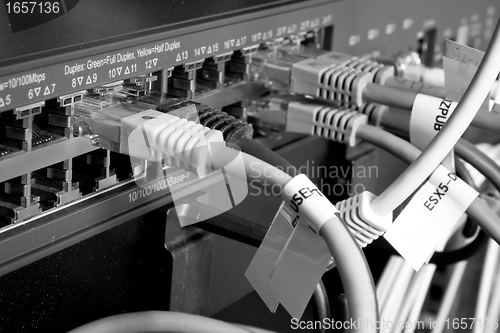 Image of network cables