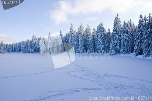 Image of fresh snow in the mountains