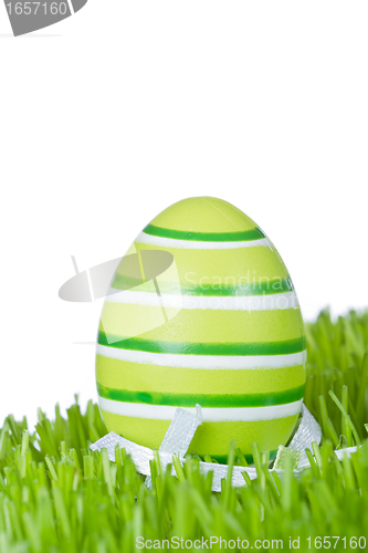 Image of easter egg in grass