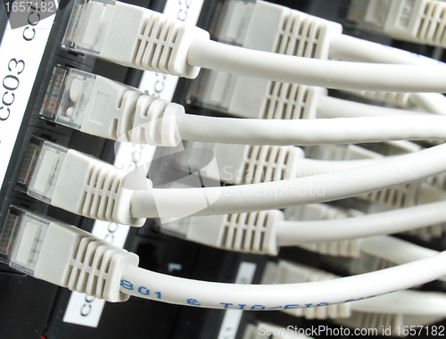 Image of network cables