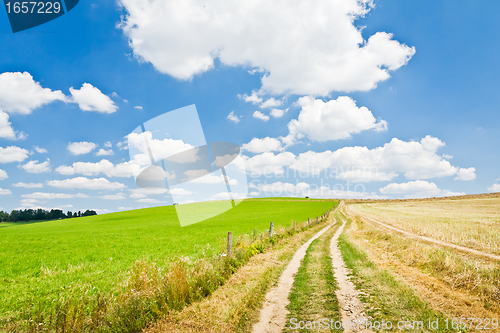 Image of agriculture landscape