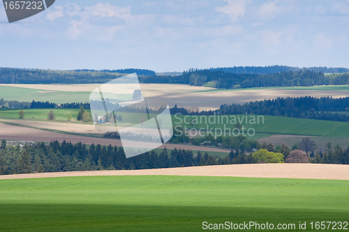 Image of green field