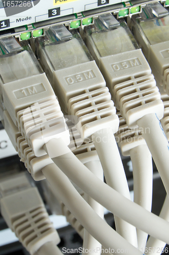 Image of network cables