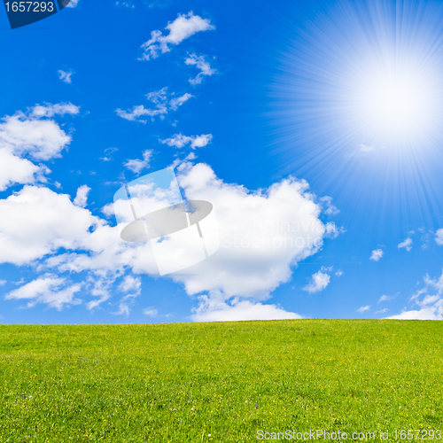 Image of green field
