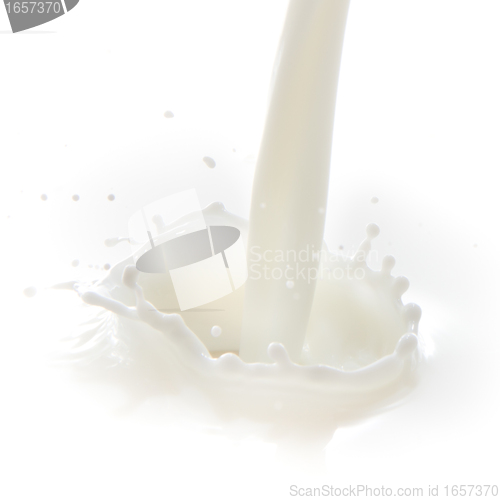 Image of milk splash