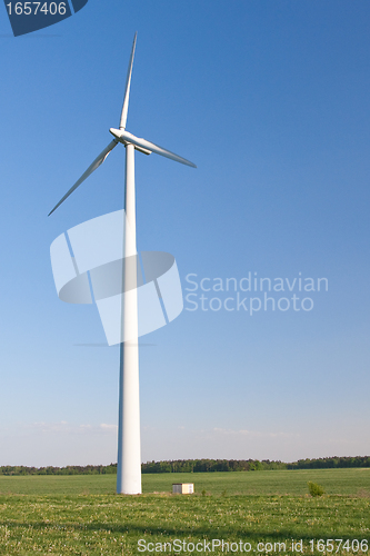 Image of windmill  farm