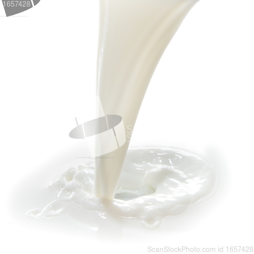 Image of milk splash