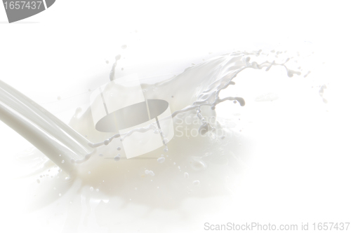 Image of milk splash