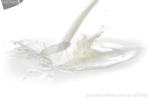 Image of milk splash