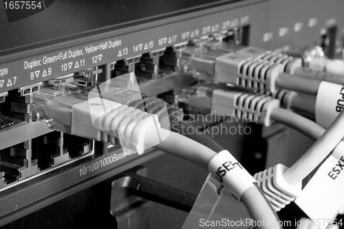 Image of network cables