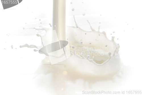 Image of milk splash