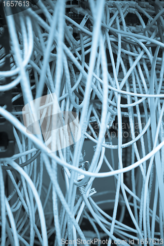 Image of ethernet cables