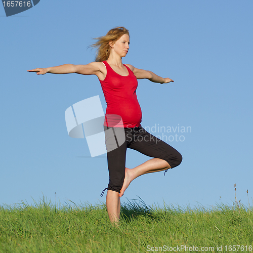 Image of pregnant woman on meadow