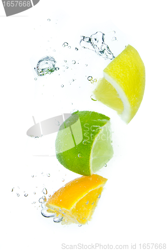 Image of citrus fruit splashing