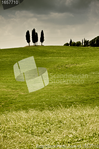 Image of Typical Tuscan landscape