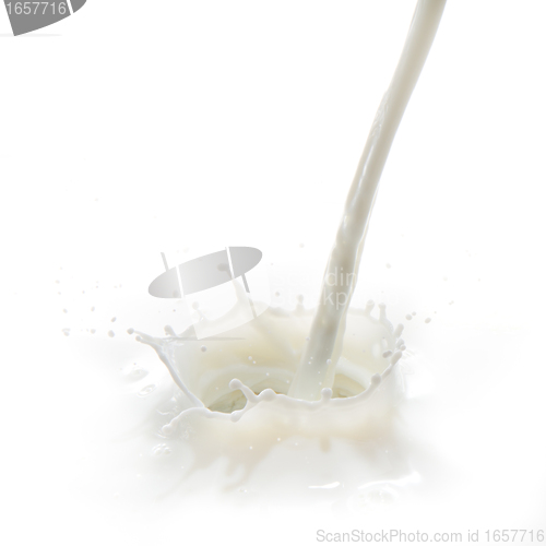 Image of milk splash