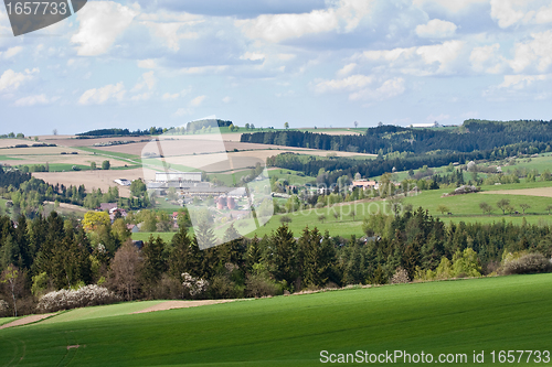 Image of green field