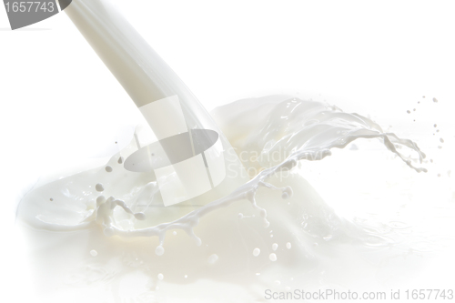 Image of milk splash