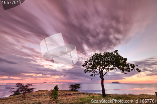 Image of Seraya Island, Indonesia