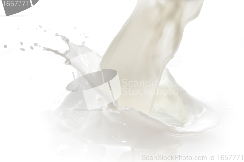 Image of milk splash