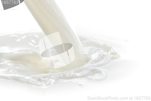 Image of milk splash