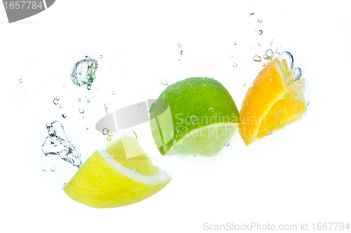 Image of citrus fruit splashing