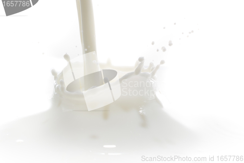 Image of milk splash