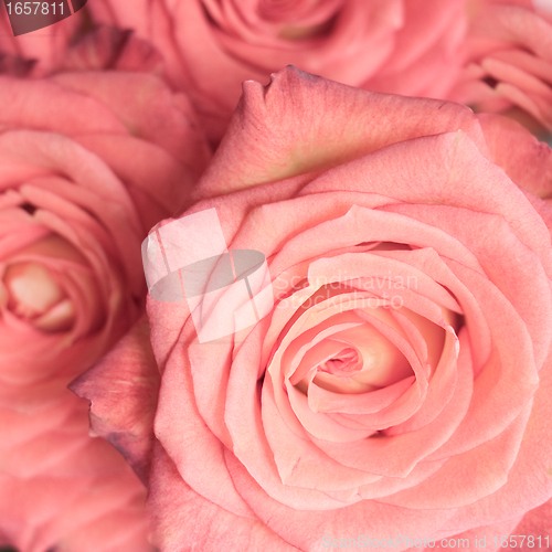 Image of rose bouquet